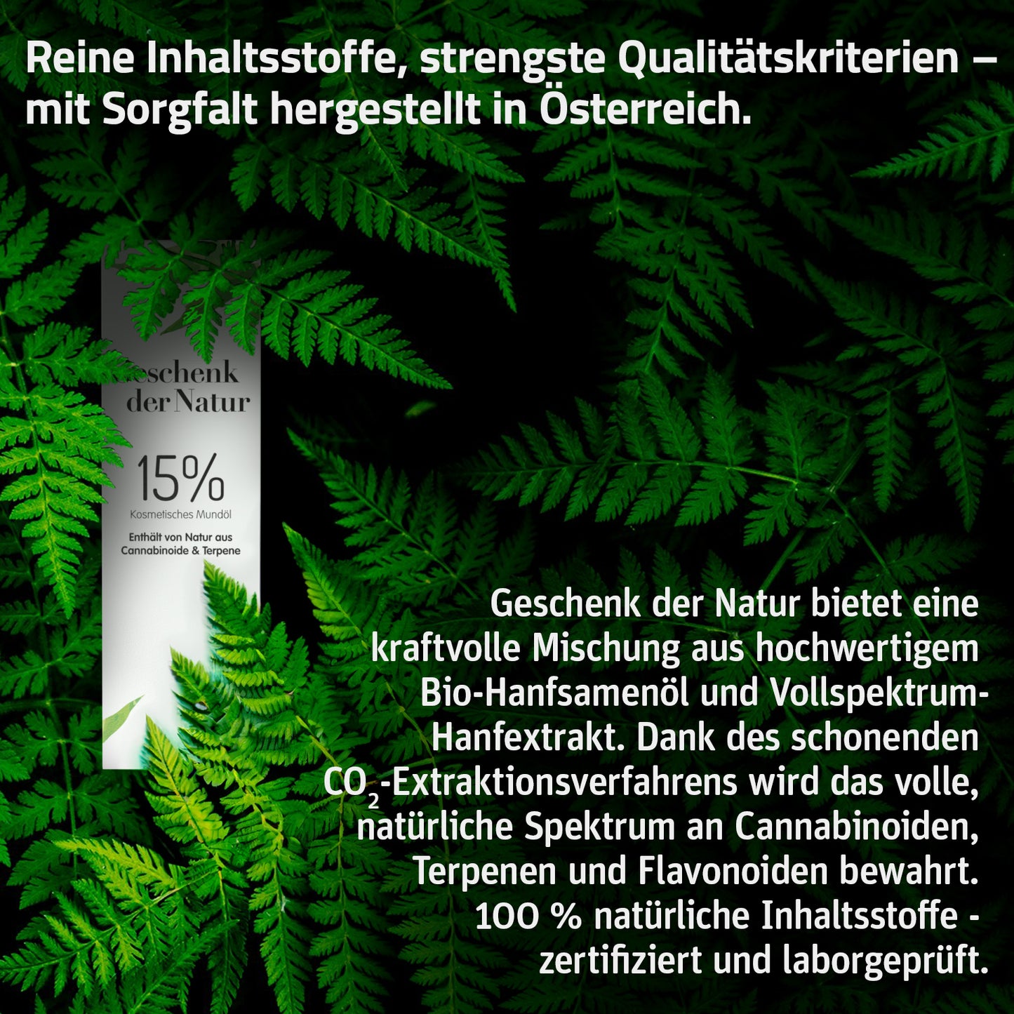 Geschenk der Natur CBD Öl 15% (10 ml)